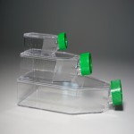 Adherent Cell Culture Flask ACF103L