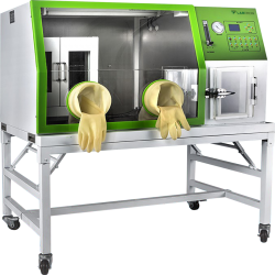 Anaerobic Incubator LAI-A10
