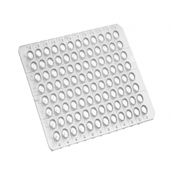 PCR Well Plates PWP100L