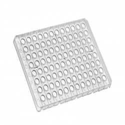 PCR Well Plates PWP202L